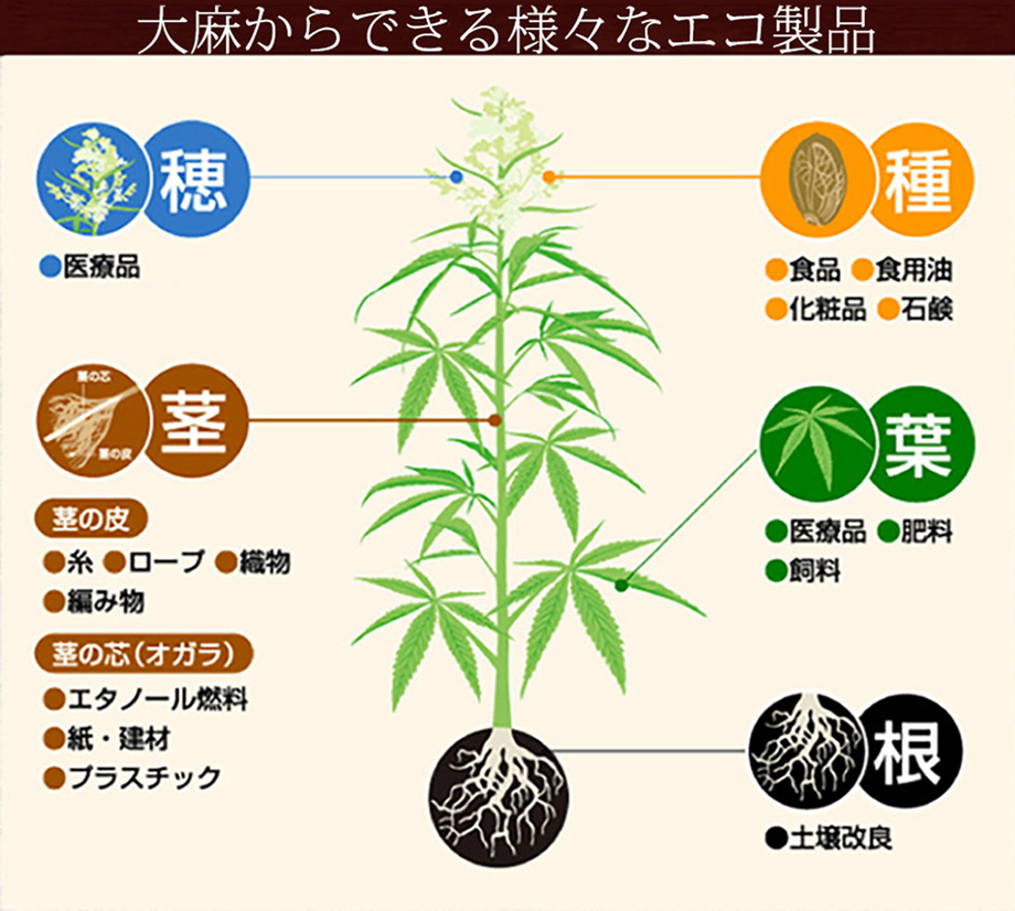 大麻からできる様々なエコ製品